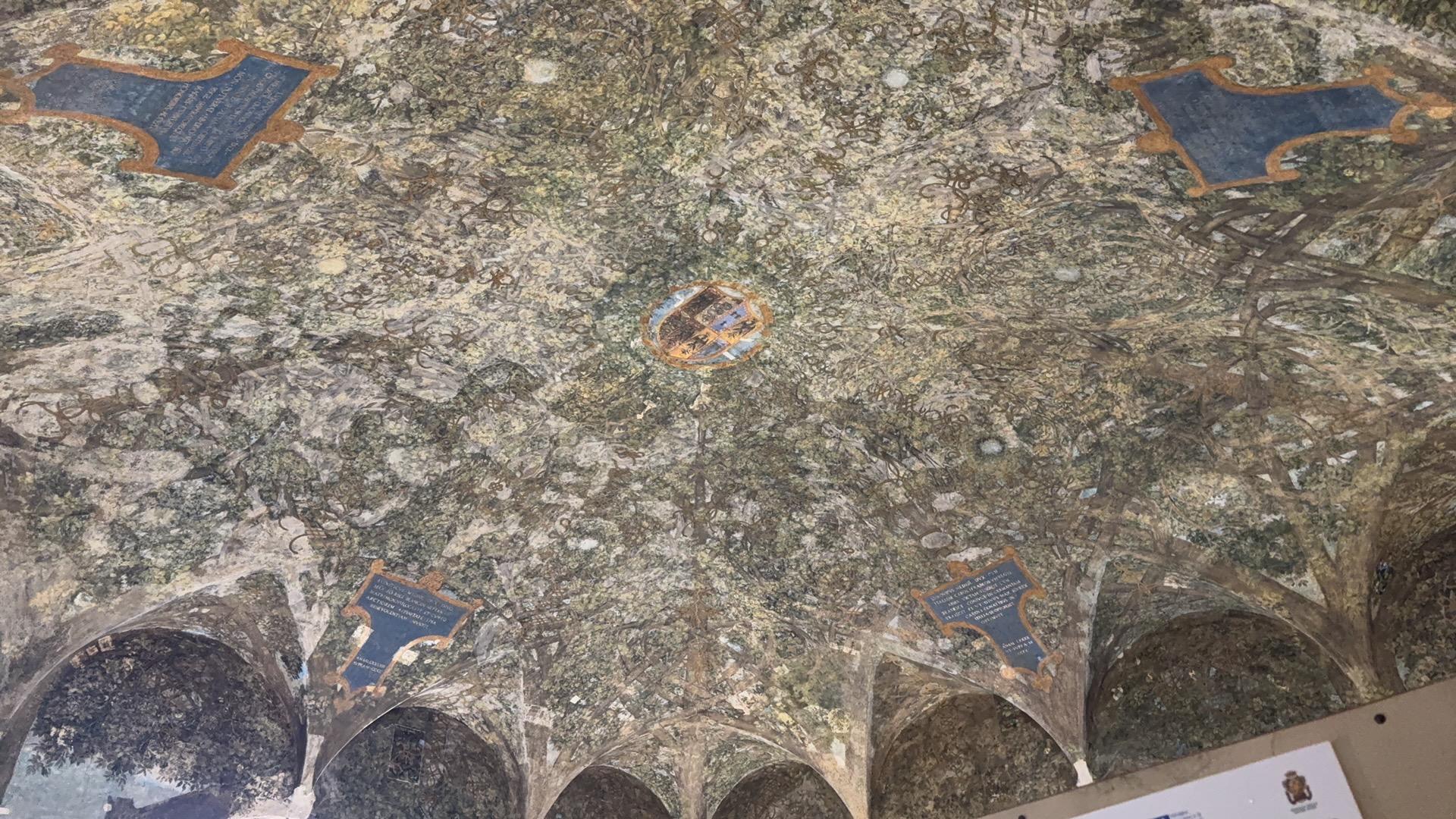 Leonardesque Decor