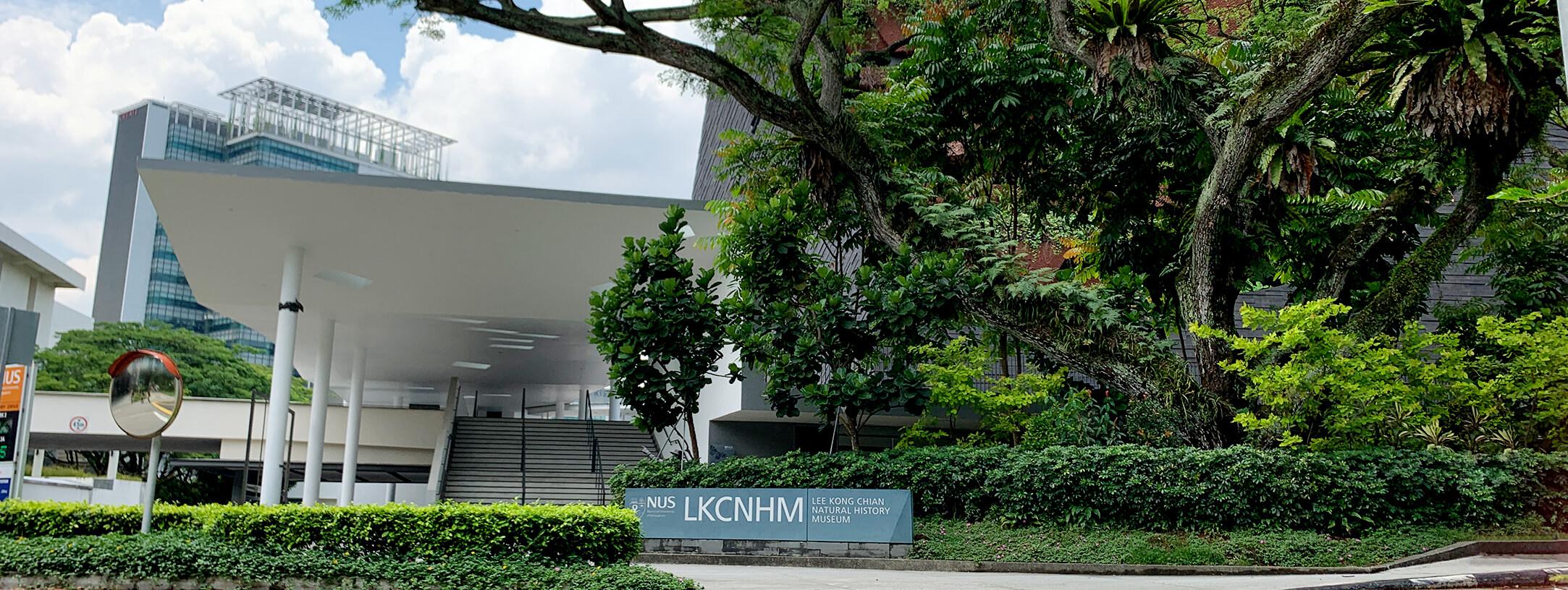 Muzium Sejarah Alam Lee Kong Chian